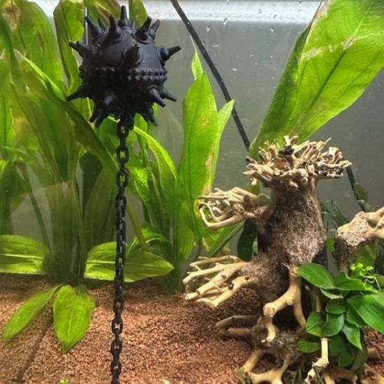 Akvaryum Mayın Dekoru resmi